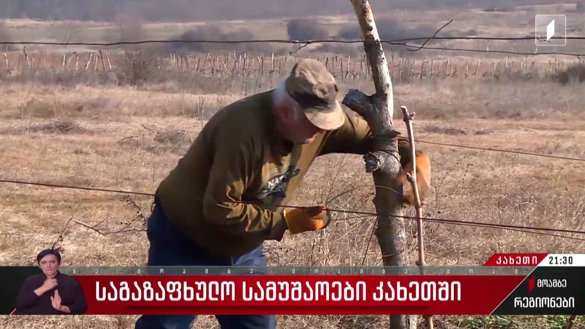 საგაზაფხულო სამუშაოები კახეთში