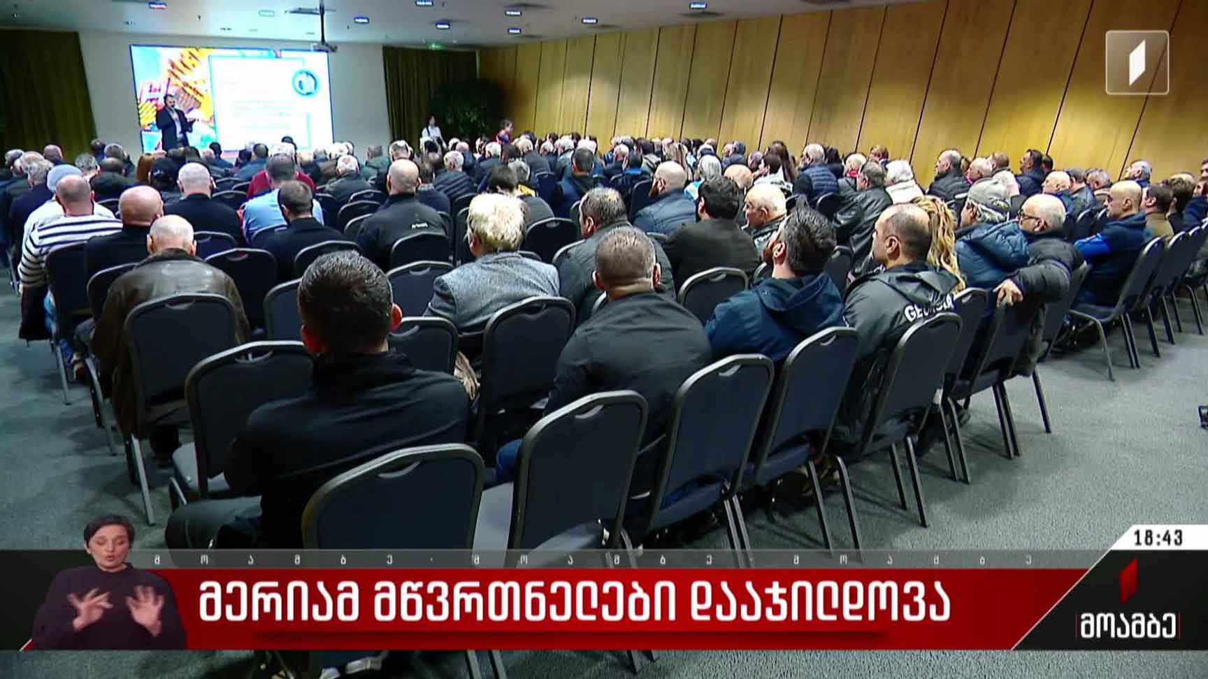 მერიამ მწვრთნელები დააჯილდოვა