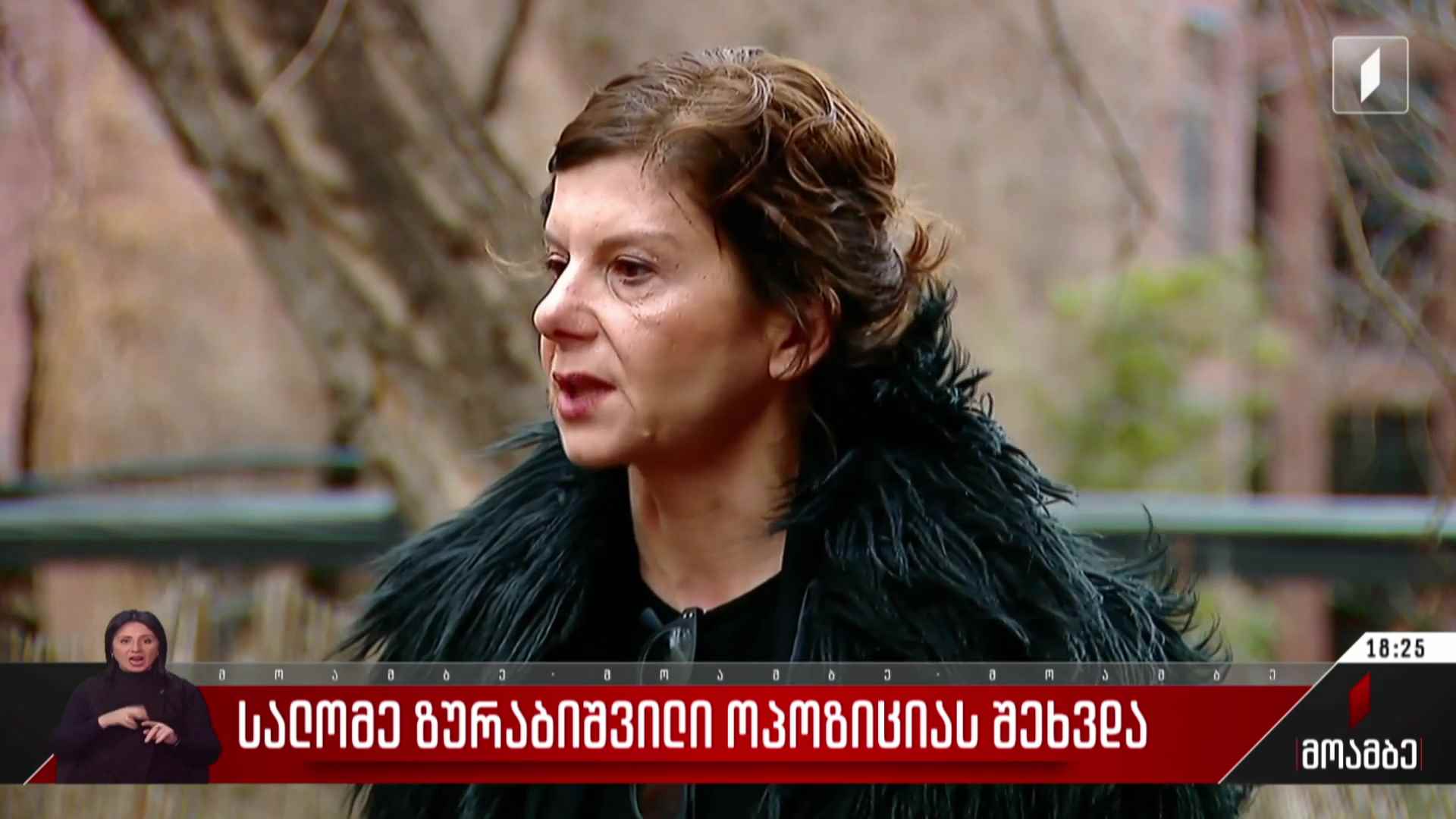 სალომე ზურაბიშვილი ოპოზიციას შეხვდა