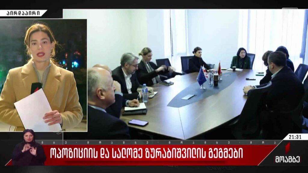ოპოზიციის და სალომე ზურაბიშვილის გეგმები