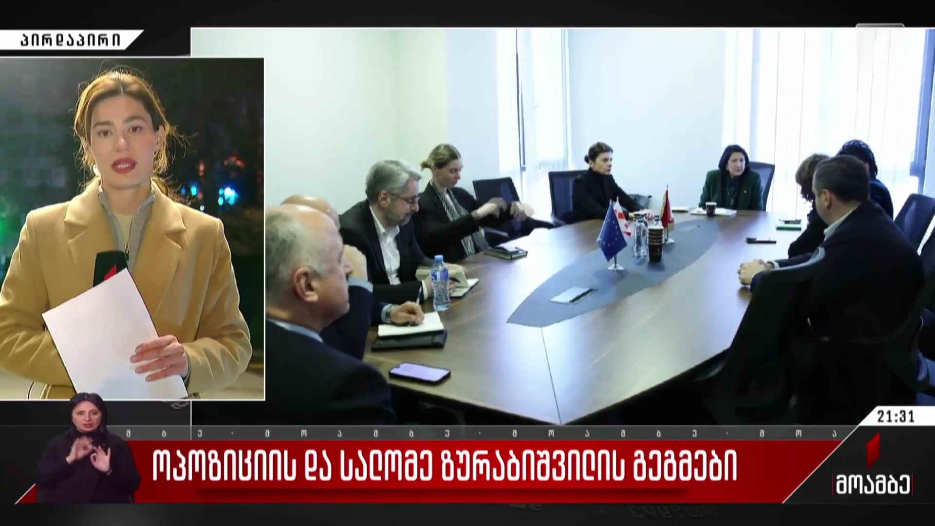 ოპოზიციის და სალომე ზურაბიშვილის გეგმები