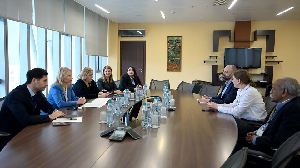 ნათია თურნავა მსოფლიო ბანკის ექსპერტთა მისიის წარმომადგენლებს შეხვდა