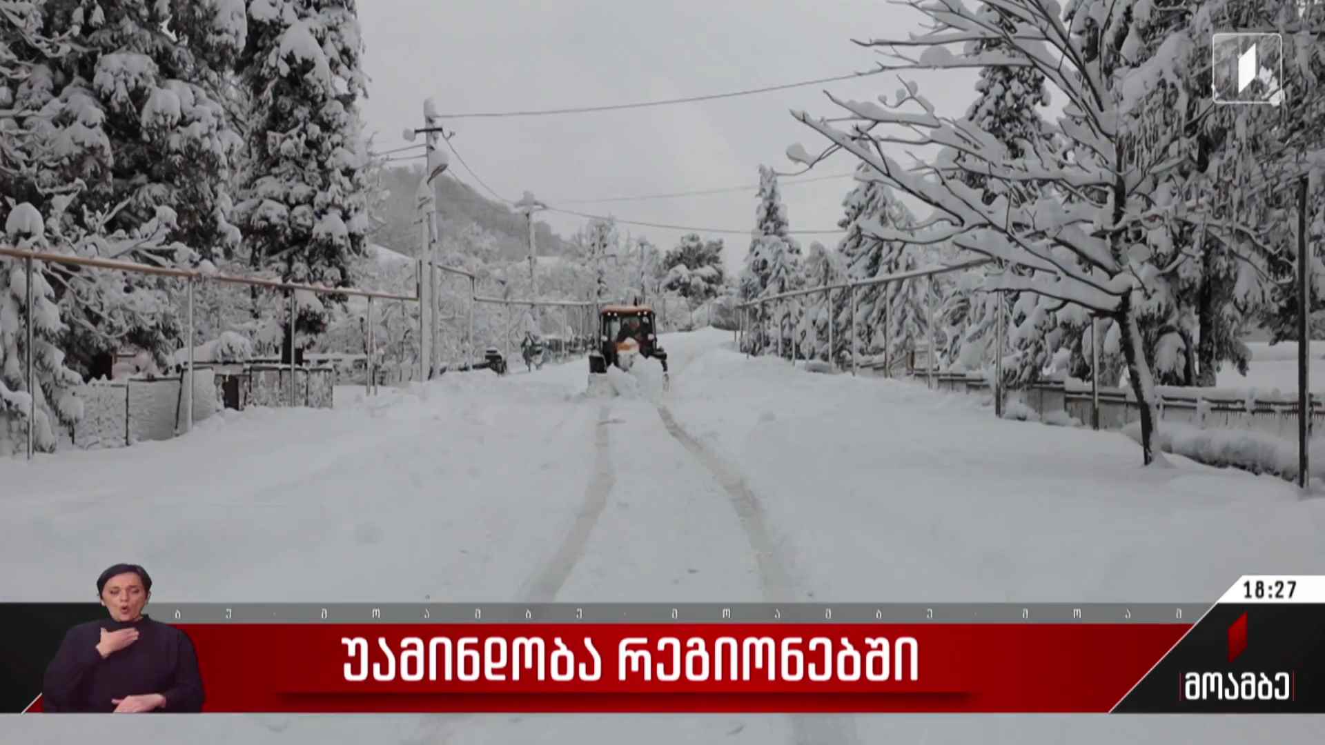 დიდთოვლობა გურიაში