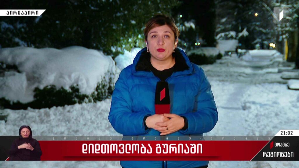 დიდთოვლობა რეგიონებში – თეა აბსარიძის ჩართვა
