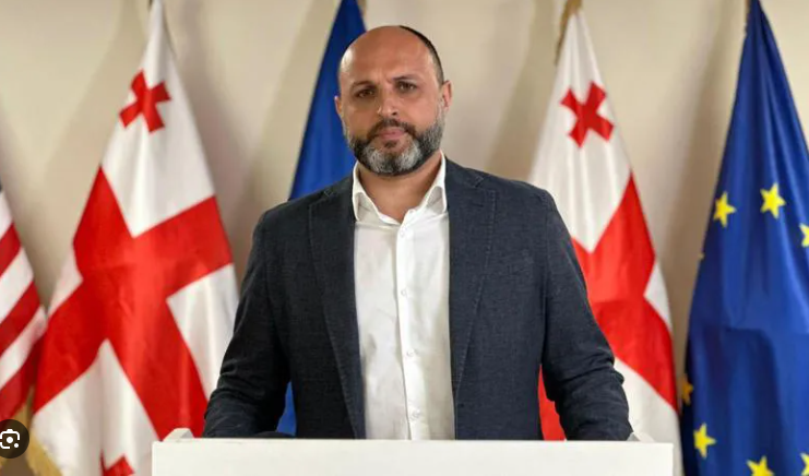 ირაკლი ნადირაძე - მხარდაჭერილი უნდა იყოს ყველა რეზოლუცია, სადაც რუსეთი მოხსენიებული იქნება აგრესორად და ეწერება, რომ პუტინმა დაიწყო ეს ომი