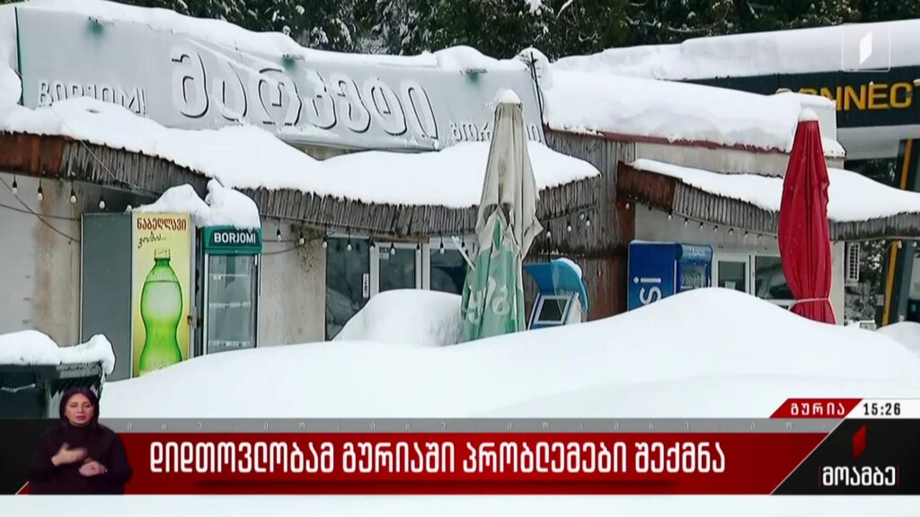დიდთოვლობამ გურიაში პრობლემები შექმნა