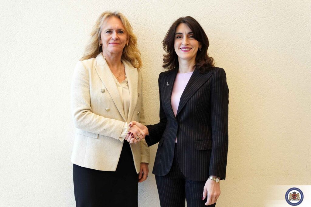 მაკა ბოჭორიშვილმა ისლანდიელ კოლეგასთან ორმხრივი და საერთაშორისო ორგანიზაციების ფარგლებში თანამშრომლობის საკითხები განიხილა