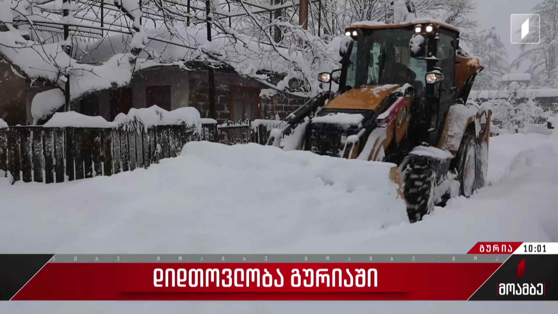 დიდთოვლობა გურიაში