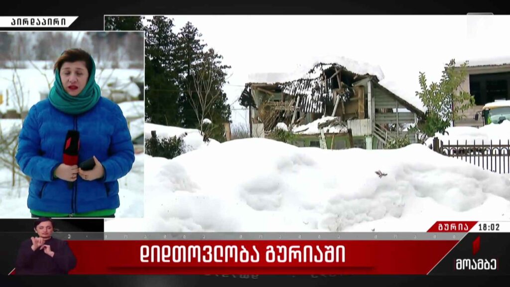 დიდთოვლობა გურიაში – თეა აბსარიძის პირდაპირი ჩართვა
