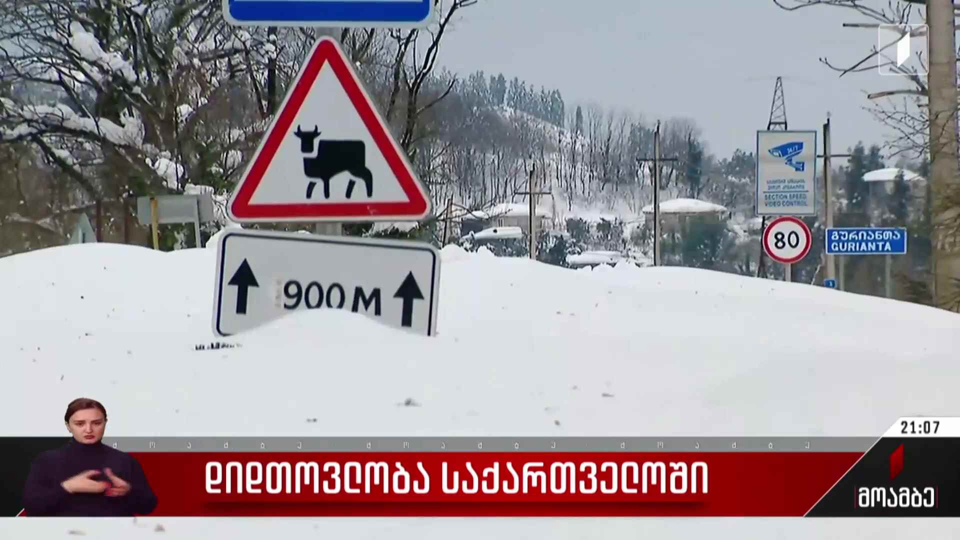 დიდთოვლობა საქართველოში