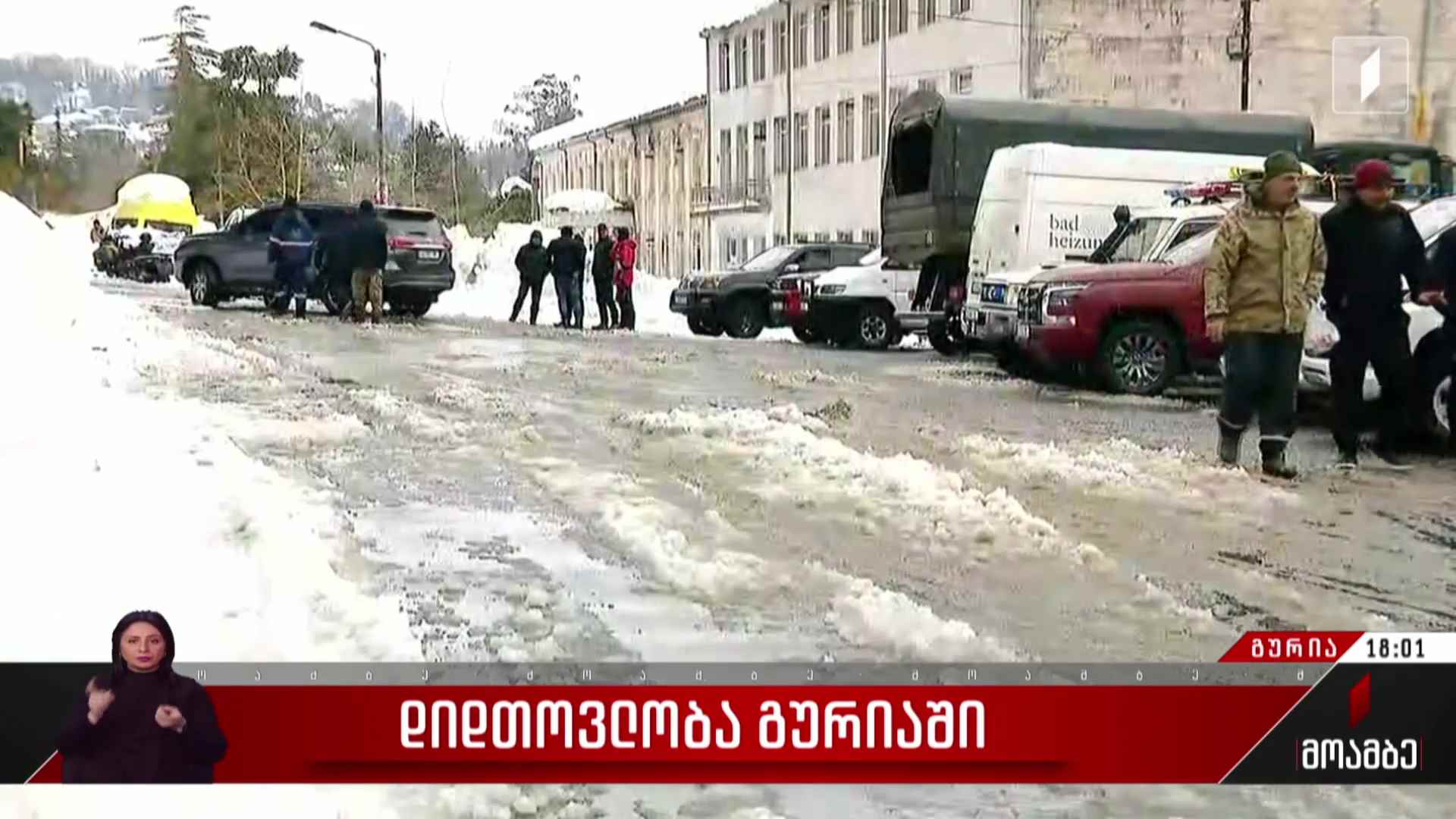 დიდთოვლობა გურიაში