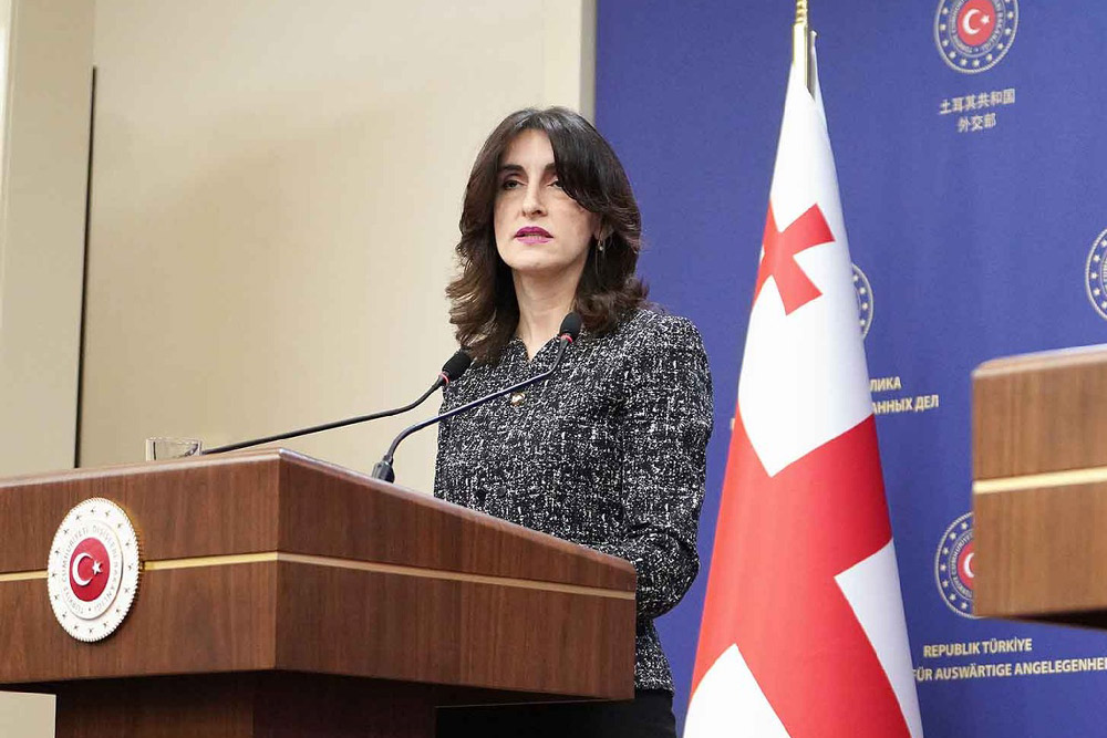 მაკა ბოჭორიშვილი - თურქეთი მნიშვნელოვანი რეგიონული მოთამაშეა, მნიშვნელოვანია თურქულ მხარესთან მუდმივი კომუნიკაცია და ჩვენი ინტერესების შესაბამისად სხვა პარტნიორებთან ურთიერთობები