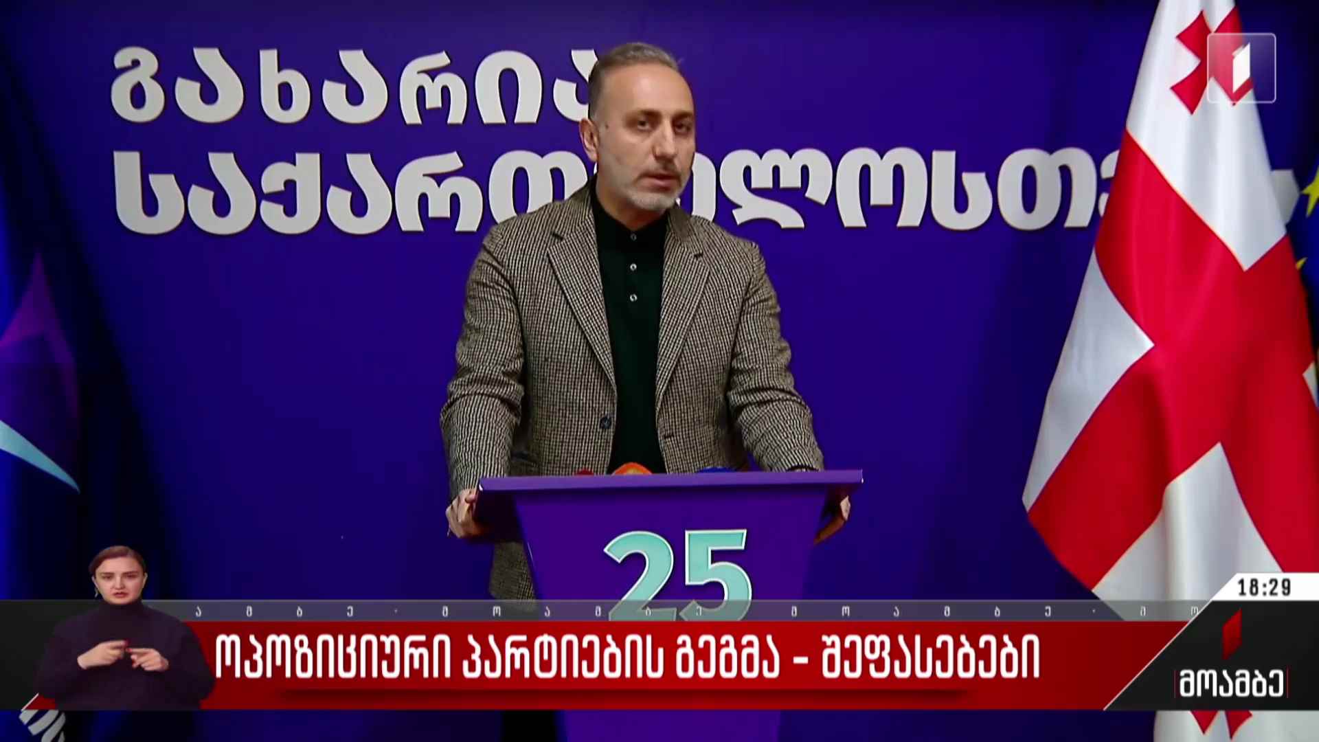 ოპოზიციური პარტიების გეგმა - შეფასებები