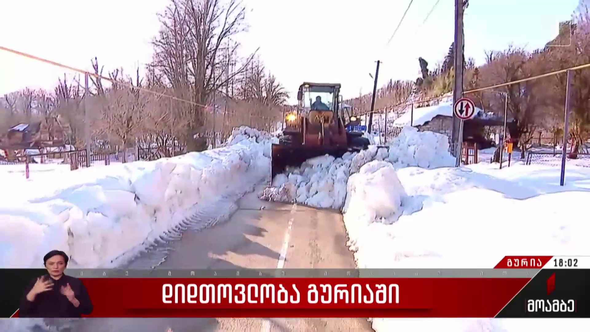 დიდთოვლობა გურიაში 