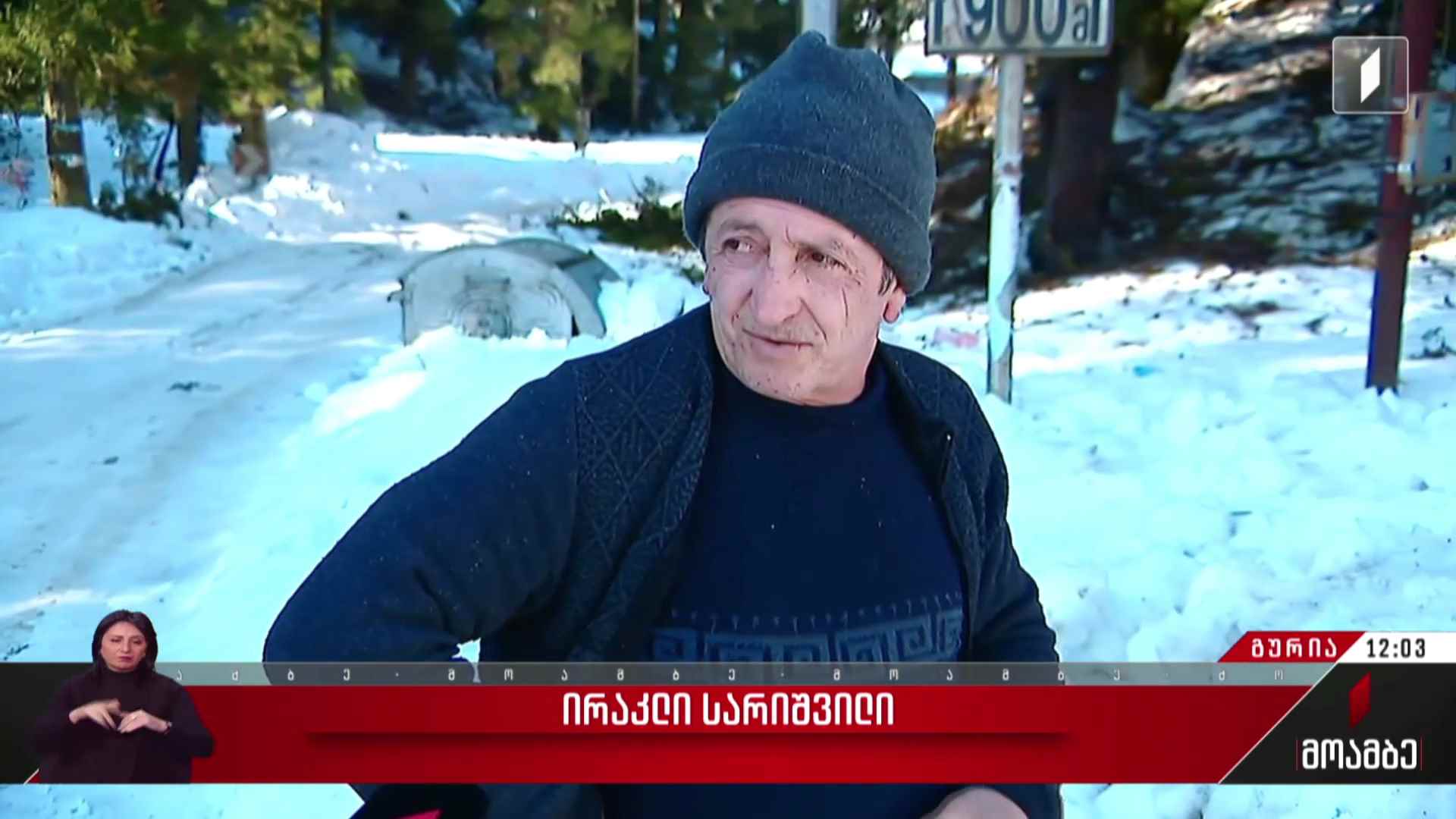 დიდთოვლობის შედეგების სალიკვიდაციო სამუშაოები - ნათია ქენქაძის ჩართვა გურიიდან