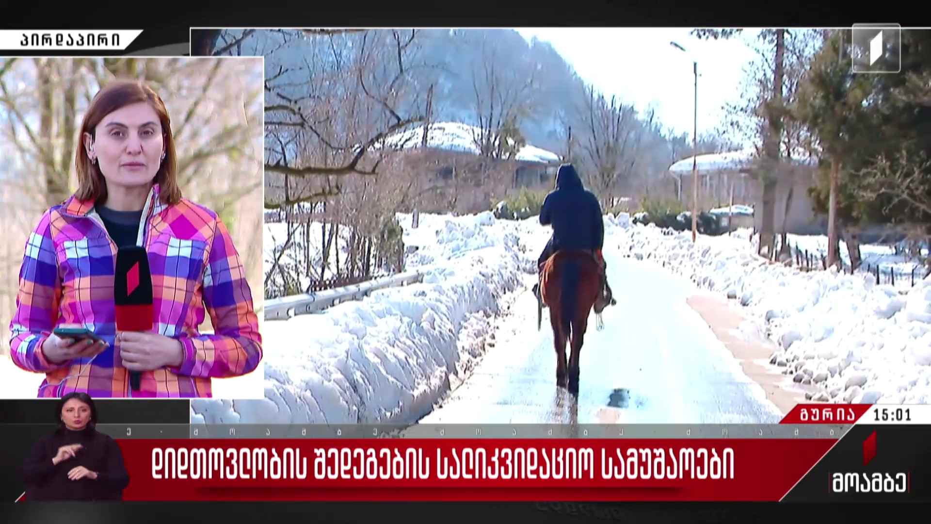 დიდთოვლობის შედეგების სალიკვიდაციო სამუშაოები - ჩართვა გურიიდან