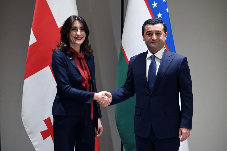 მაკა ბოჭორიშვილი უზბეკ კოლეგას შეხვდა