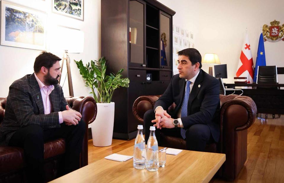 შალვა პაპუაშვილი ევროპის ზამთრის ახალგაზრდული ოლიმპიური ფესტივალის საორგანიზაციო კომიტეტის თავმჯდომარეს შეხვდა
