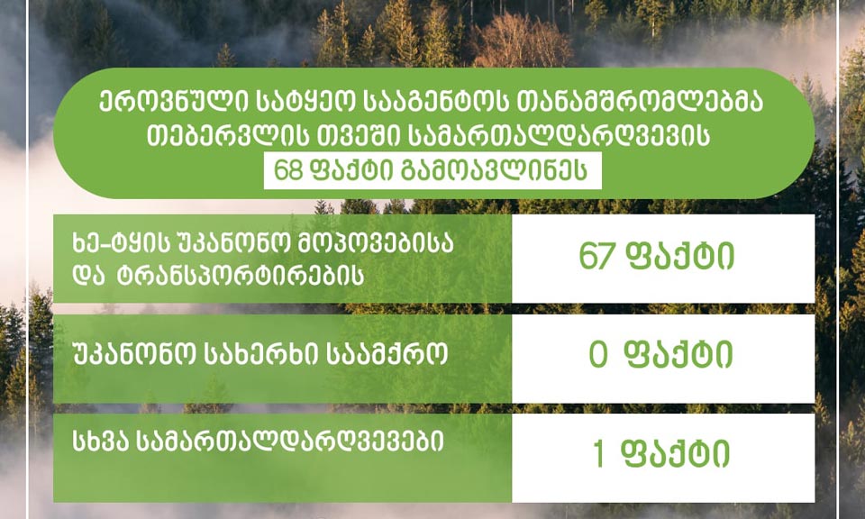 ეროვნული სატყეო სააგენტოს თანამშრომლებმა თებერვალში სამართალდარღვევის 68 ფაქტი გამოავლინეს