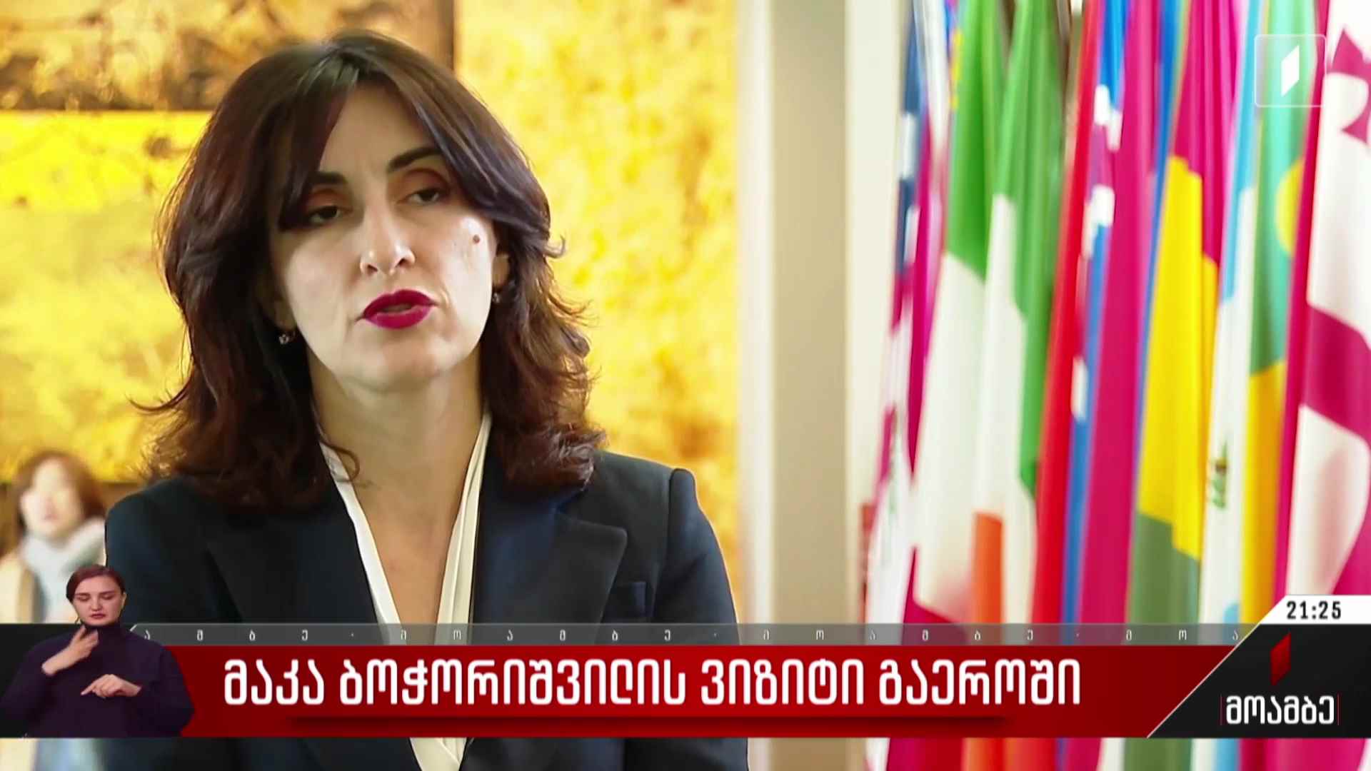 მაკა ბოჭორიშვილის ვიზიტი გაერო-ში