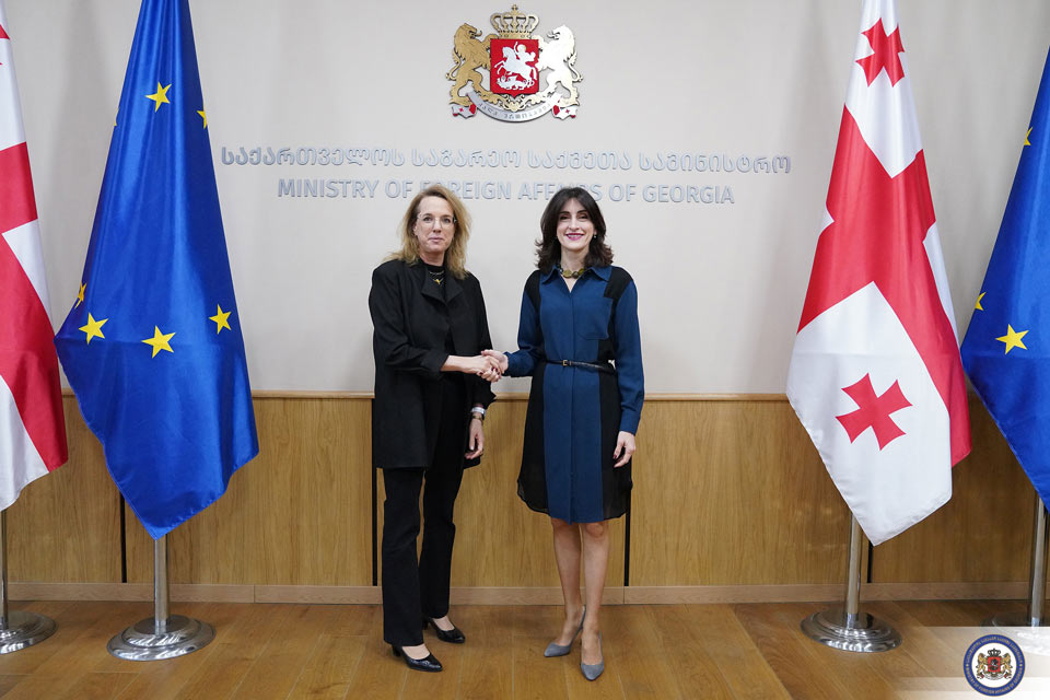 მაკა ბოჭორიშვილი საქართველოში ისრაელის ელჩს შეხვდა
