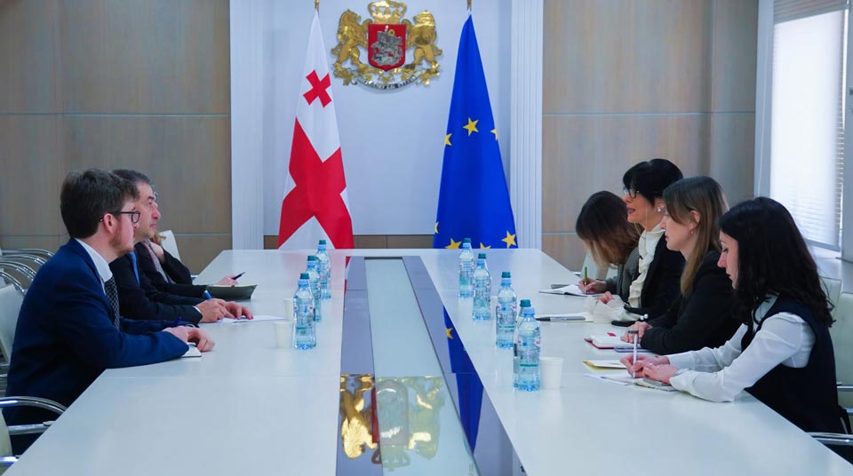თეა ახვლედიანმა ევროპის საბჭოს დელეგაციასთან შეხვედრა გამართა