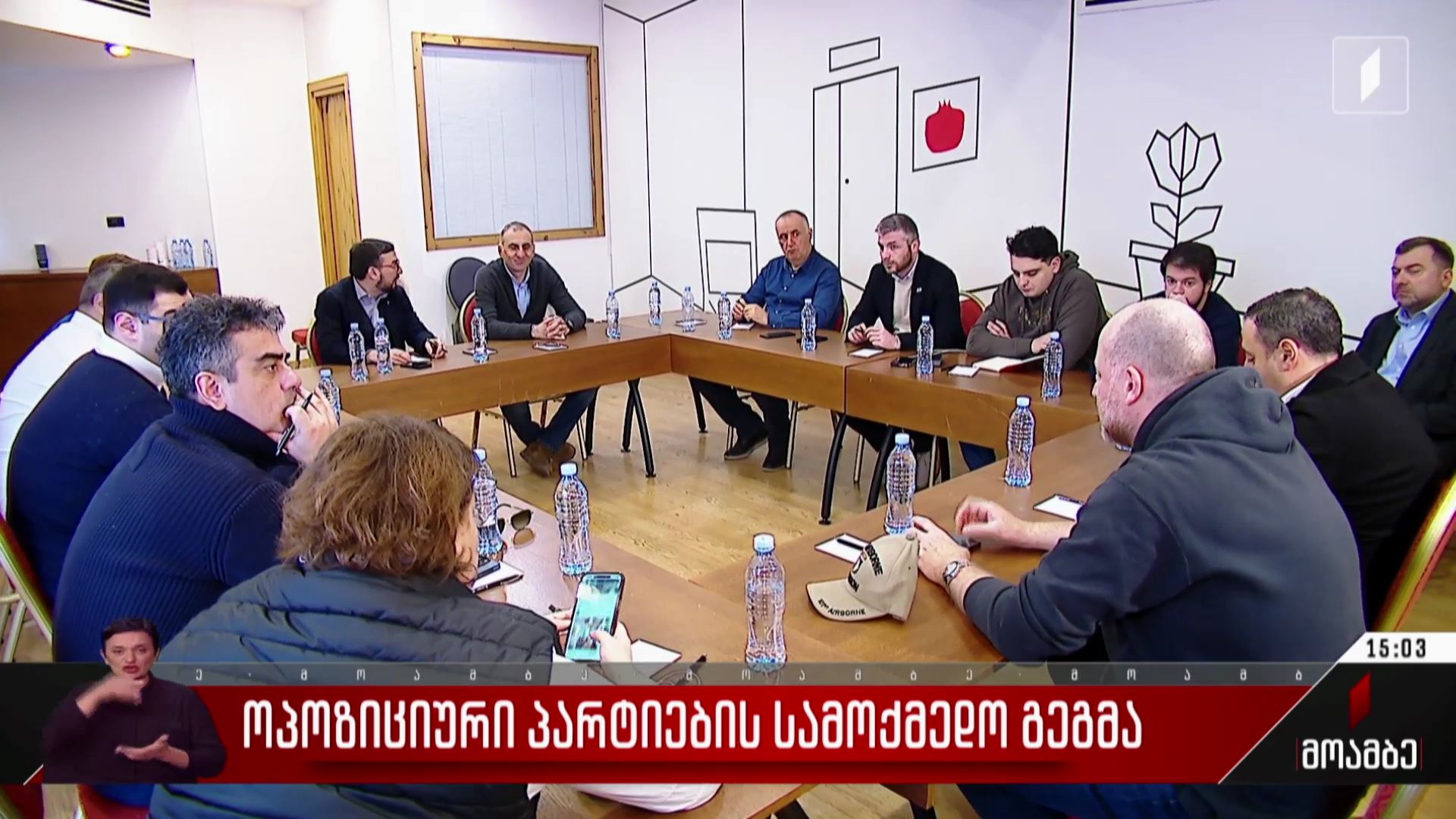 ოპოზიციური პარტიების სამოქმედო გეგმა
