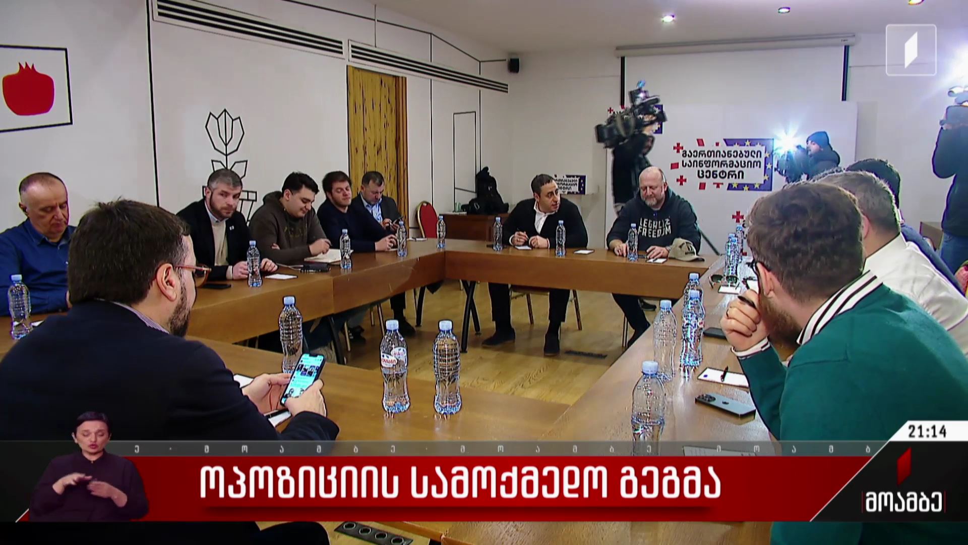 ოპოზიციის სამოქმედო გეგმა