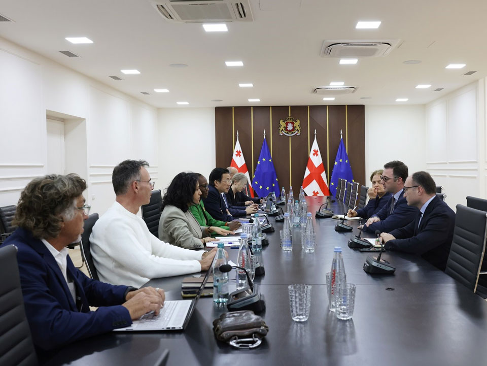 დავით სონღულაშვილი მსოფლიო ბანკის დელეგაციის წევრებს შეხვდა