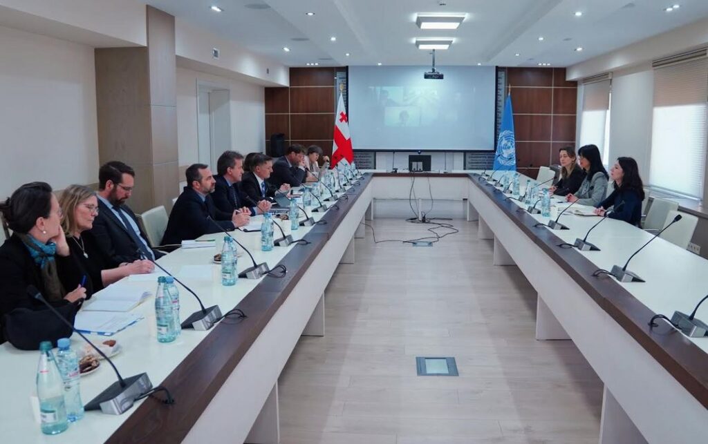 თეა ახვლედიანმა საქართველოში აკრედიტებული გაერო-ს ორგანიზაციების ხელმძღვანელებსა და სხვა საერთაშორისო ორგანიზაციების წარმომადგენლებთან შეხვედრა გამართა
