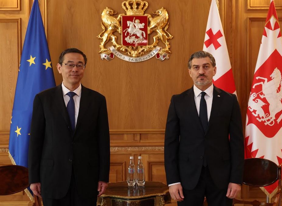მიხეილ ყაველაშვილმა ჩინეთის ელჩთან გაცნობითი შეხვედრა გამართა