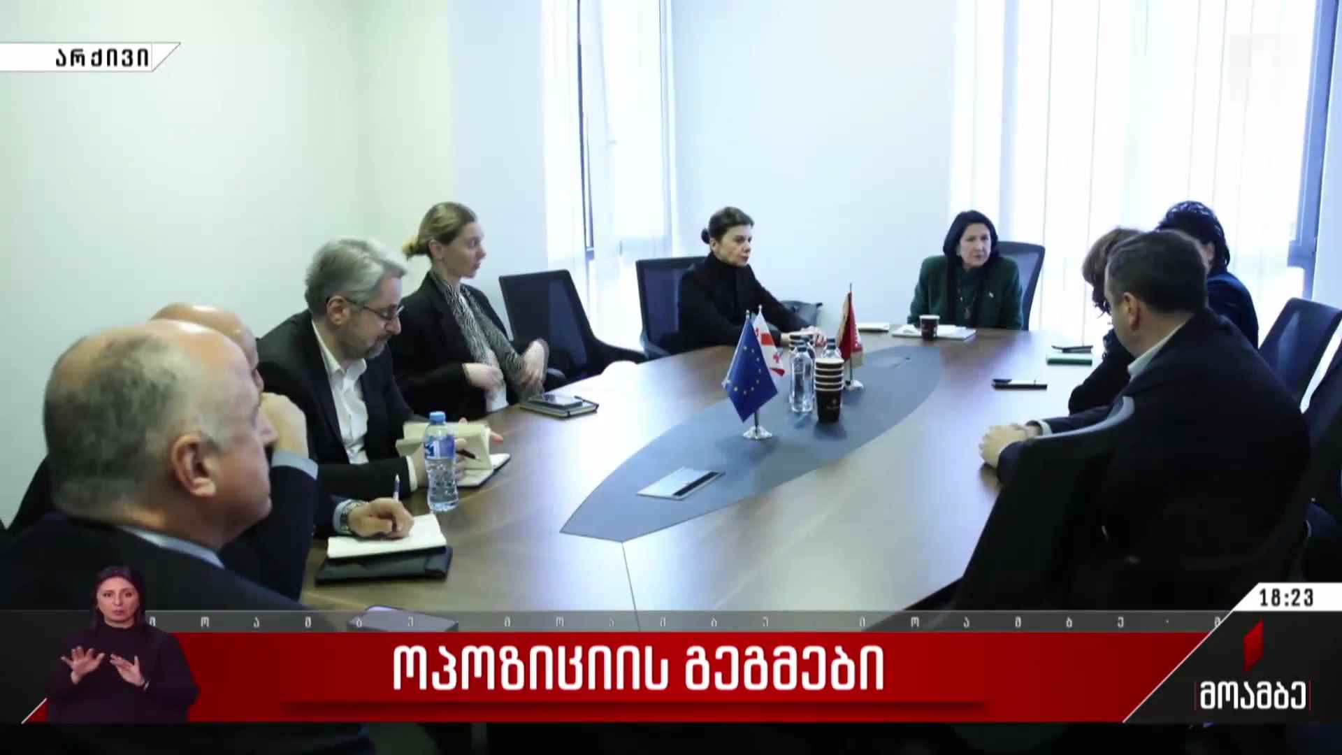 ოპოზიციის გეგმები - შეფასებები