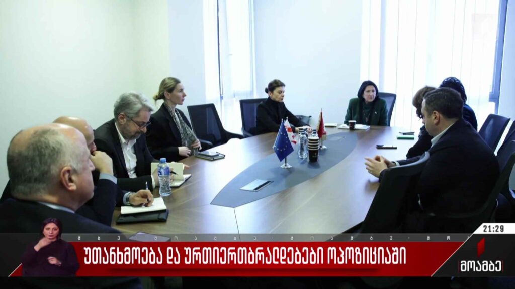 უთანხმოება და ურთიერთბრალდებები ოპოზიციაში