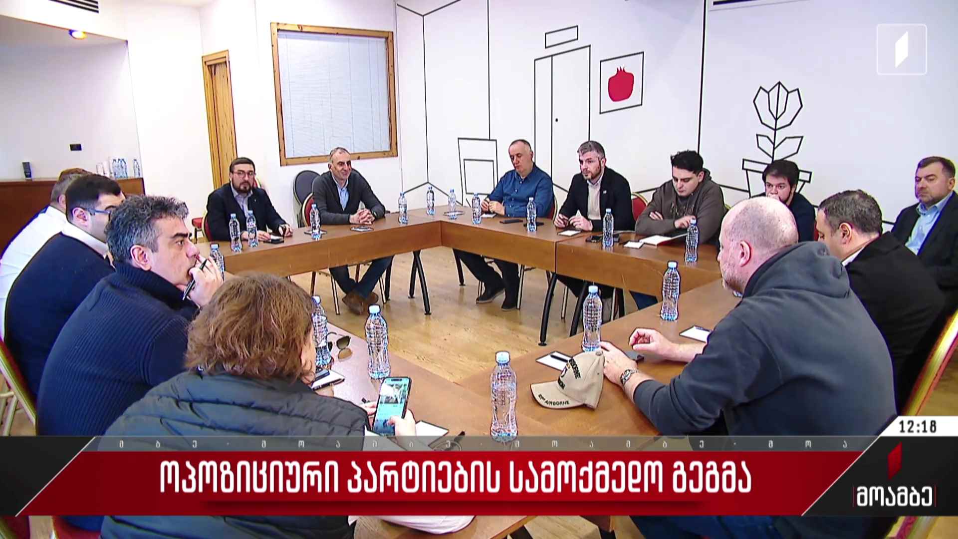 ოპოზიციური პარტიების სამოქმედო გეგმა