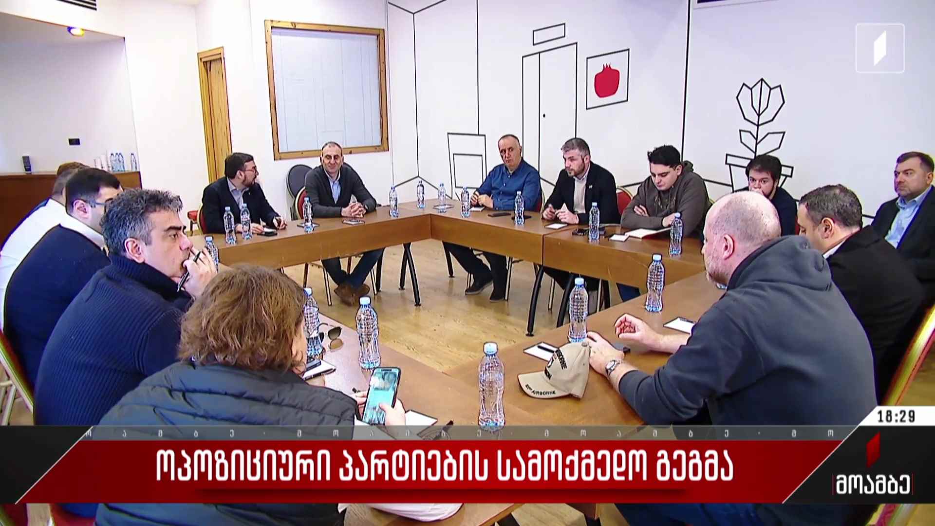 ოპოზიციური პარტიების სამოქმედო გეგმა