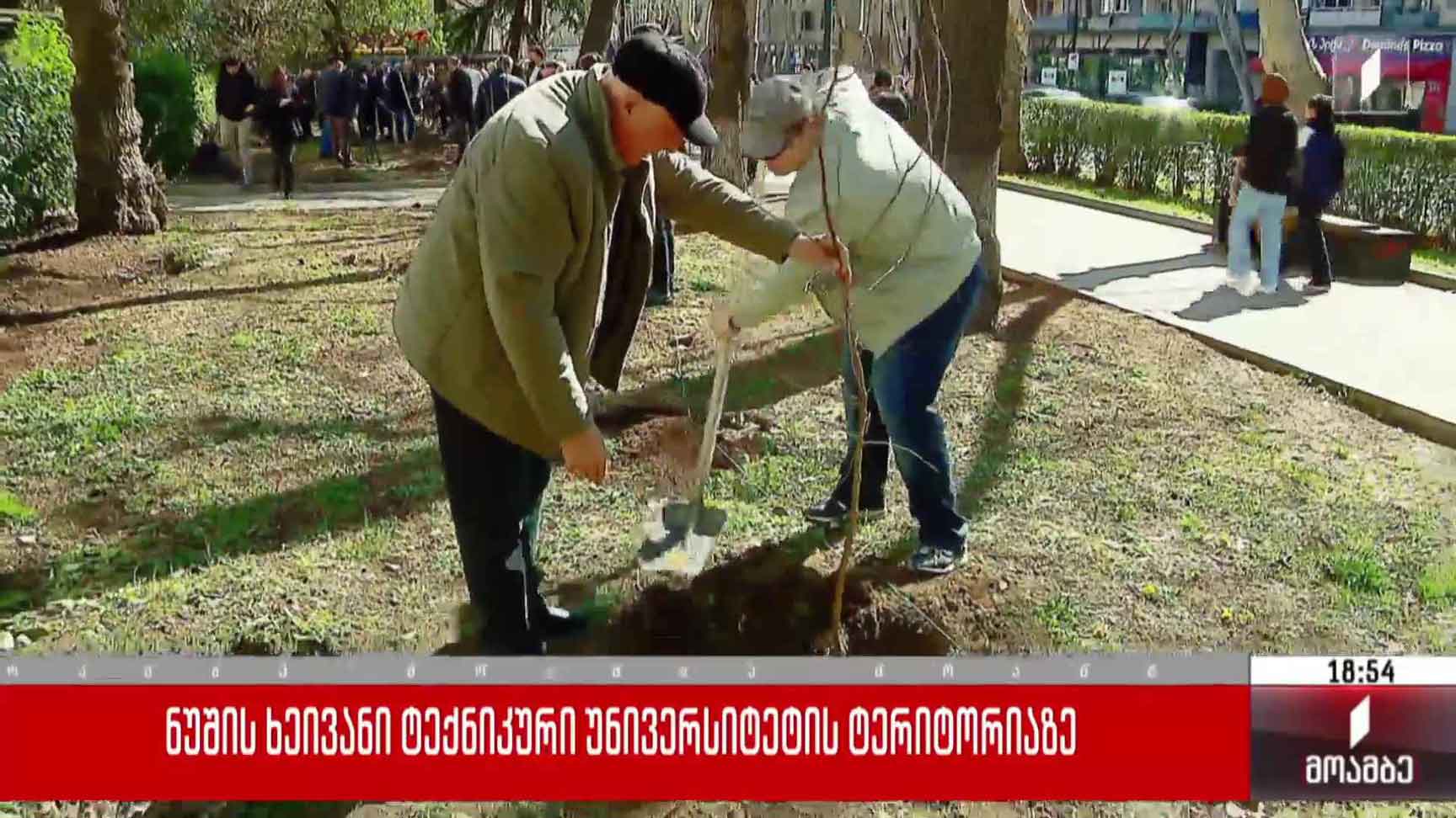 ნუშის ხეივანი ტექნიკური უნივერსიტეტის ტერიტორიაზე 