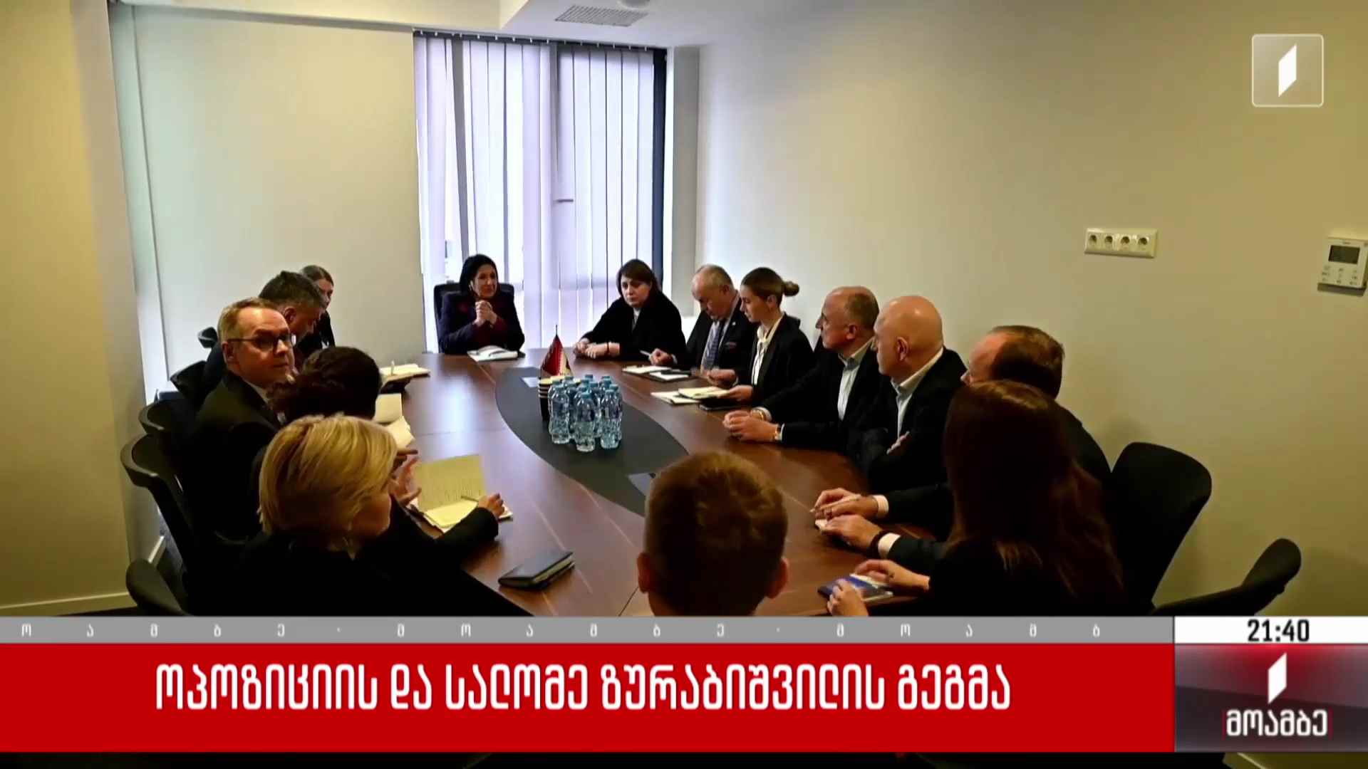 ოპოზიციის და სალომე ზურაბიშვილის გეგმა 