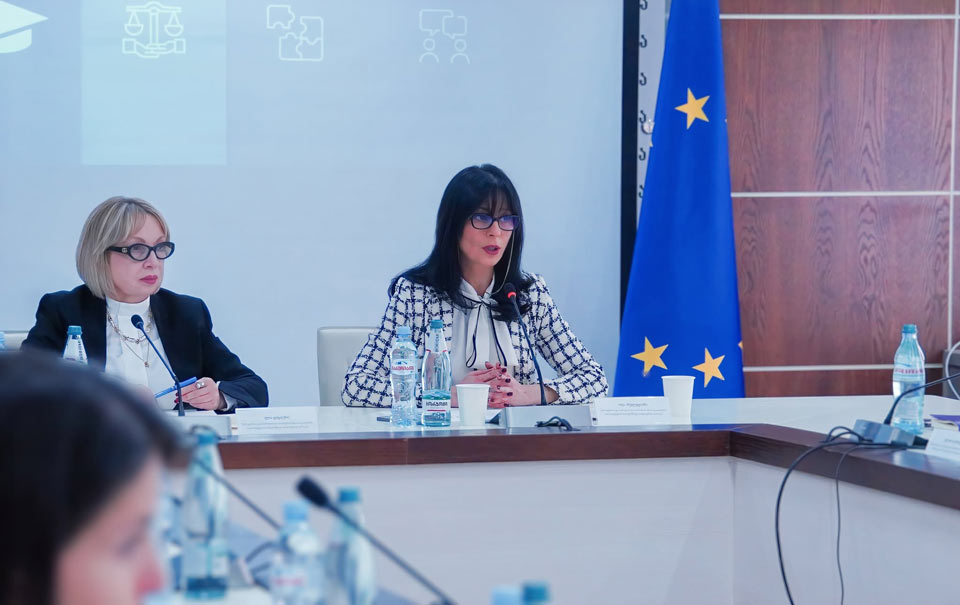 თეა ახვლედიანმა სამოქალაქო თანასწორობისა და ინტეგრაციის სამთავრობო კომისიის სხდომა მისასალმებელი სიტყვით გახსნა