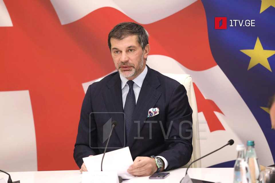 თბილისის მერია მიმდინარე წელს საზაფხულო პროგრამებს 6 000-მდე ახალგაზრდისთვის განახორციელებს