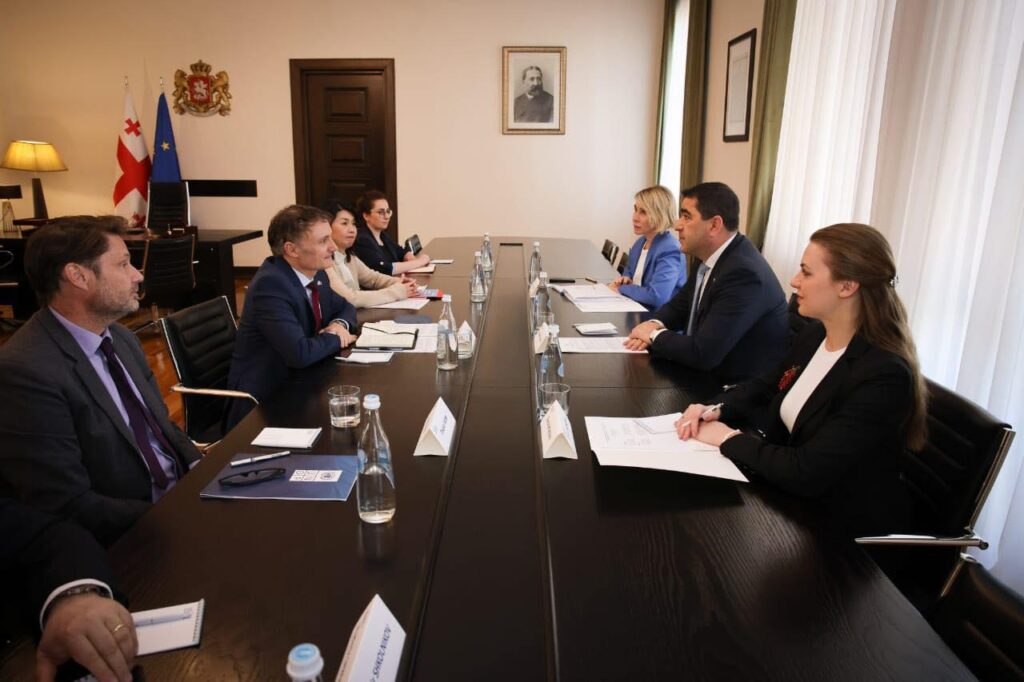 შალვა პაპუაშვილი საქართველოში გაერო-ს მუდმივ კოორდინატორს შეხვდა