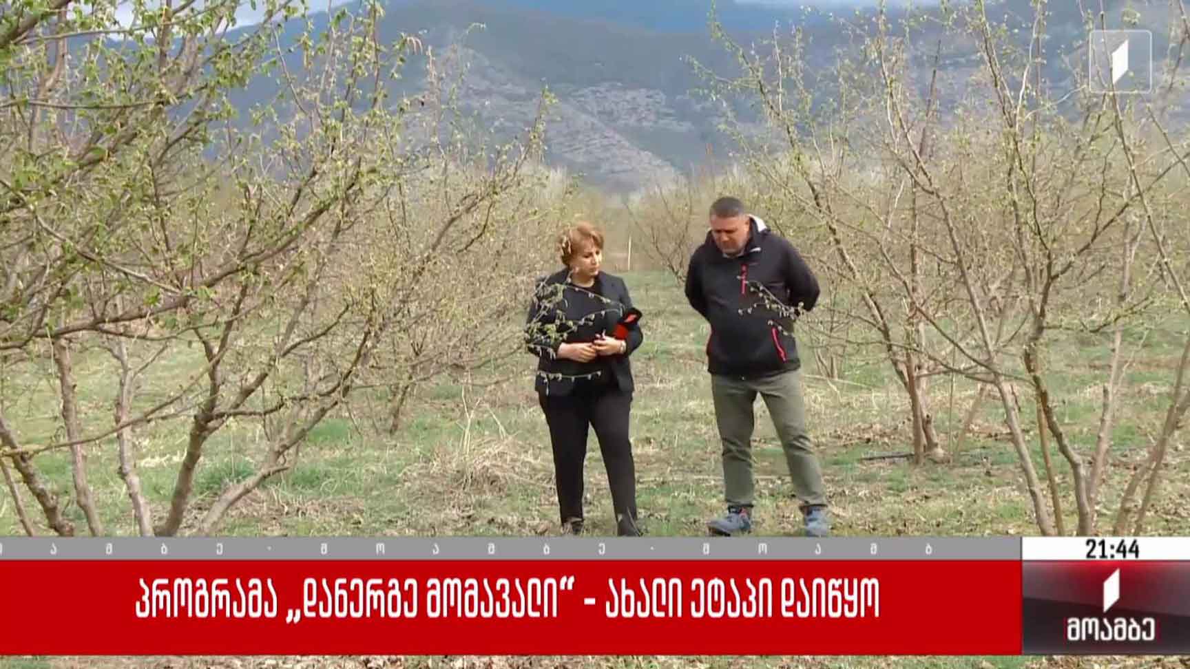 პროგრამა „დანერგე მომავალი“ - ახალი ეტაპი დაიწყო