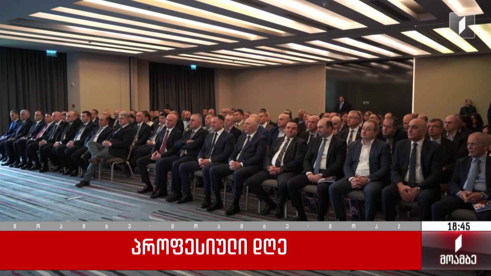 პროფესიული დღე