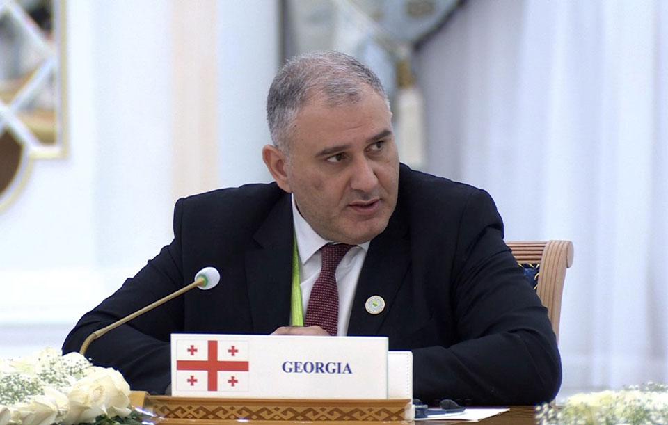 მიხეილ სარჯველაძე თურქმენეთში, საერთაშორისო კონფერენციაზე სიტყვით გამოვიდა
