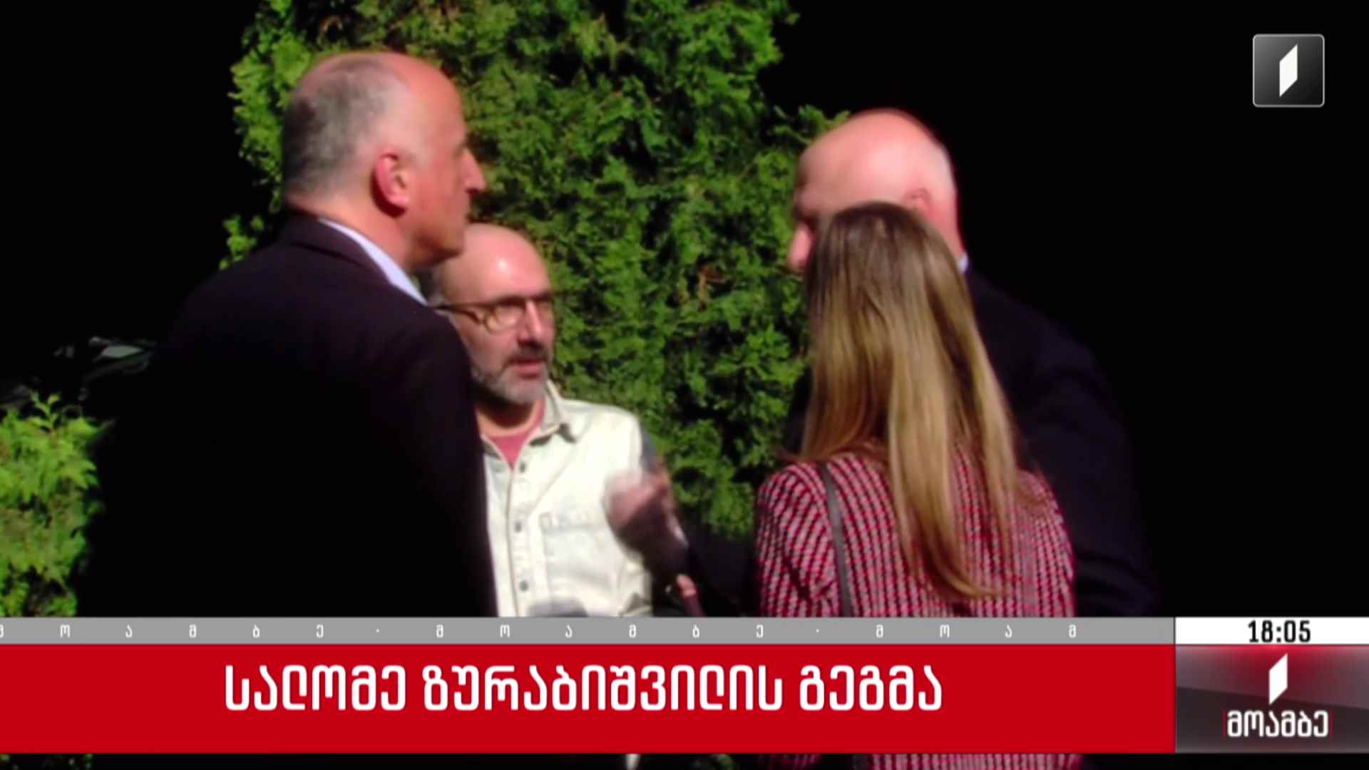 სალომე ზურაბიშვილის გეგმა