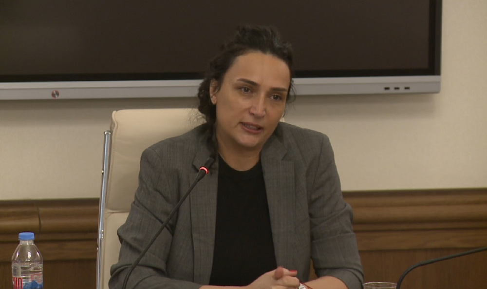 სუპერმარკეტების ქსელის, „იბისის“ თანადამფუძნებელი - ბიზნესის შევიწროება როცა დაიწყო, ჩვენც გაგვიჩნდა პროტესტი, 2009 წლის მაისში აქციაზე მივიტანეთ საჭმელი, მეორე დღიდან დაიწყო ჯოჯოხეთი