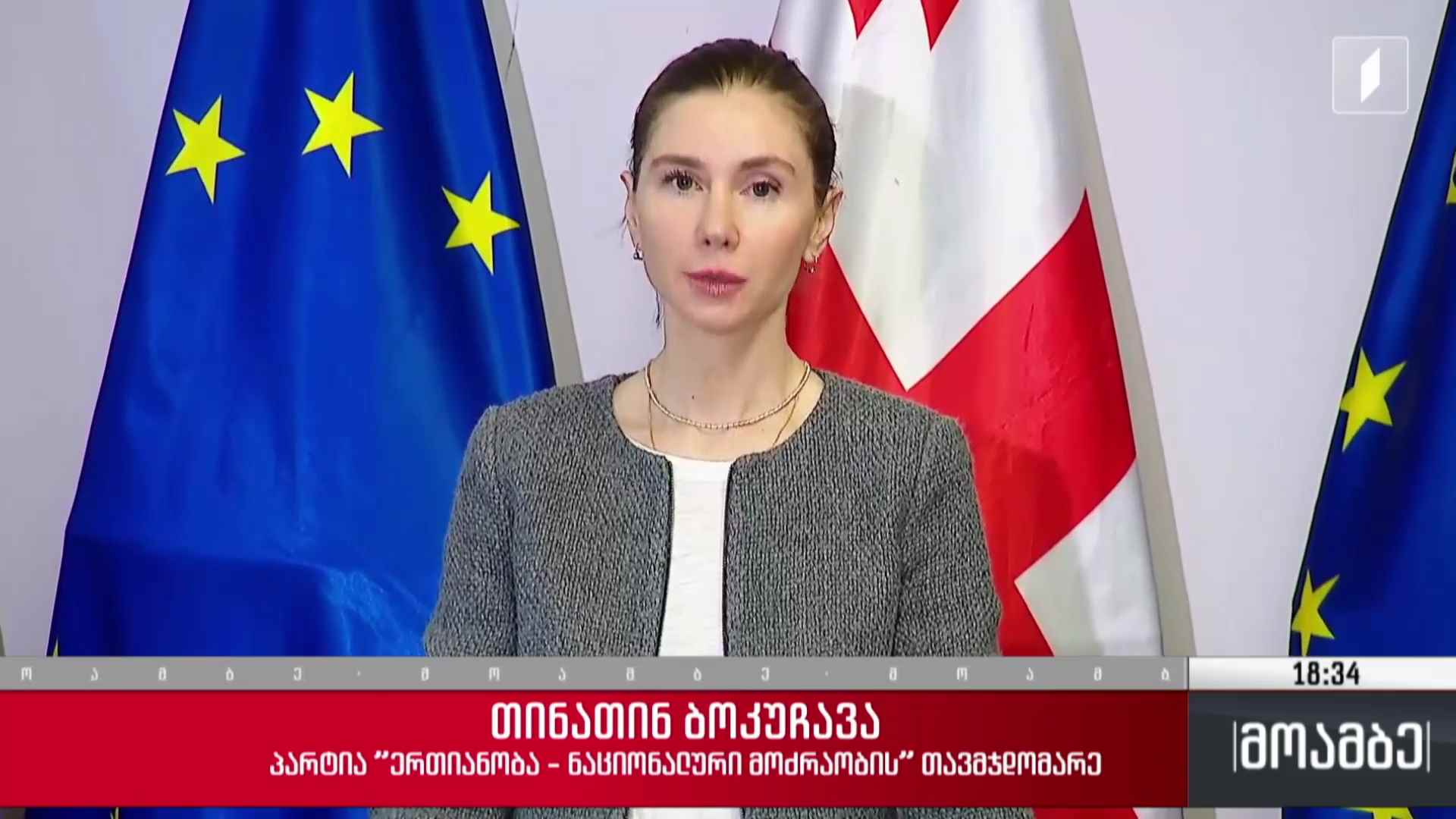 სალომე ზურაბიშვილისა და ოპოზიციის გეგმა 