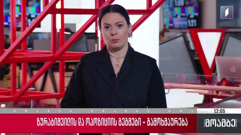 ზურაბიშვილისა და ოპოზიციის გეგმები – გამოხმაურება