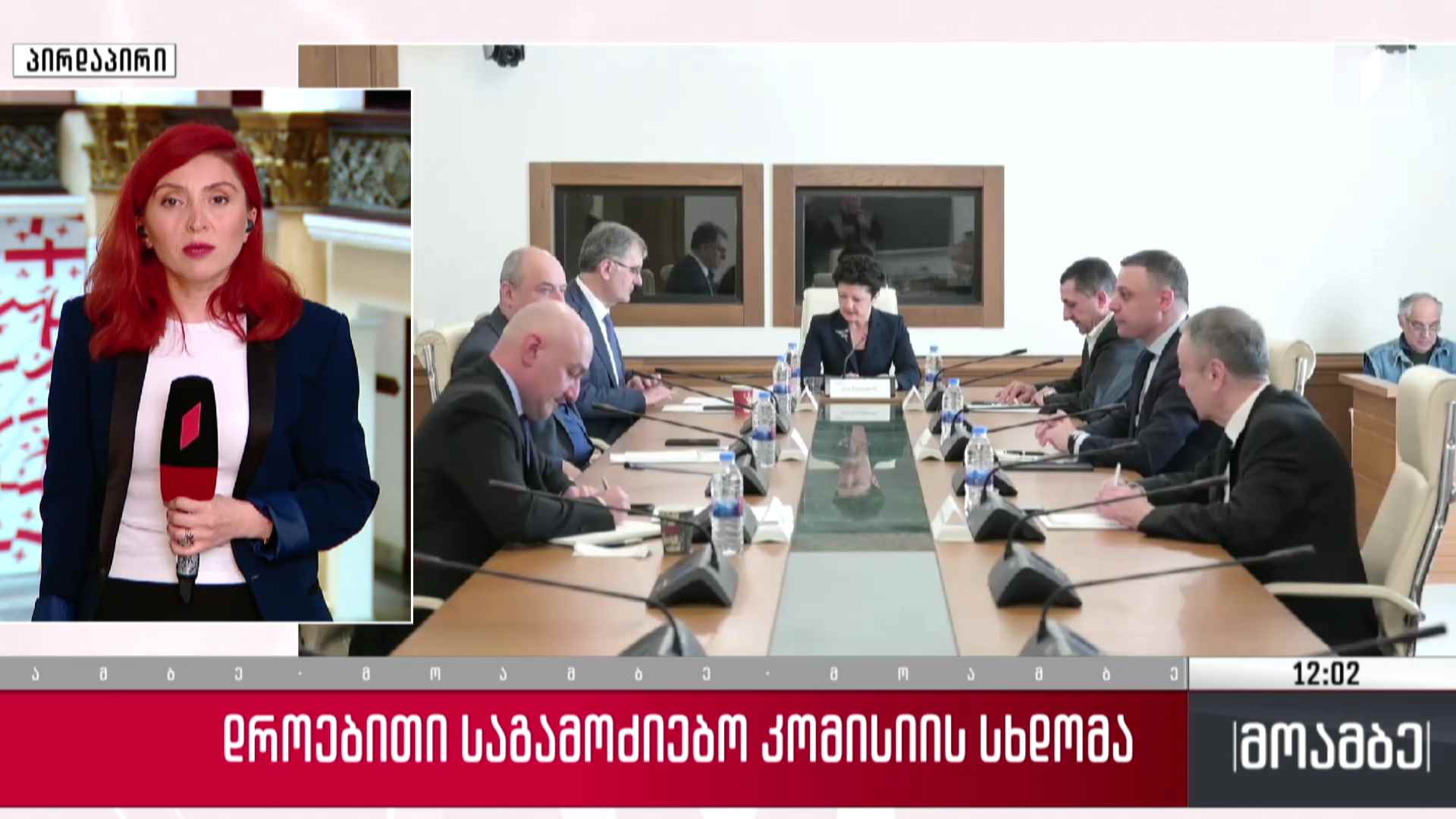 დროებითი საგამოძიებო კომისიის სხდომა
