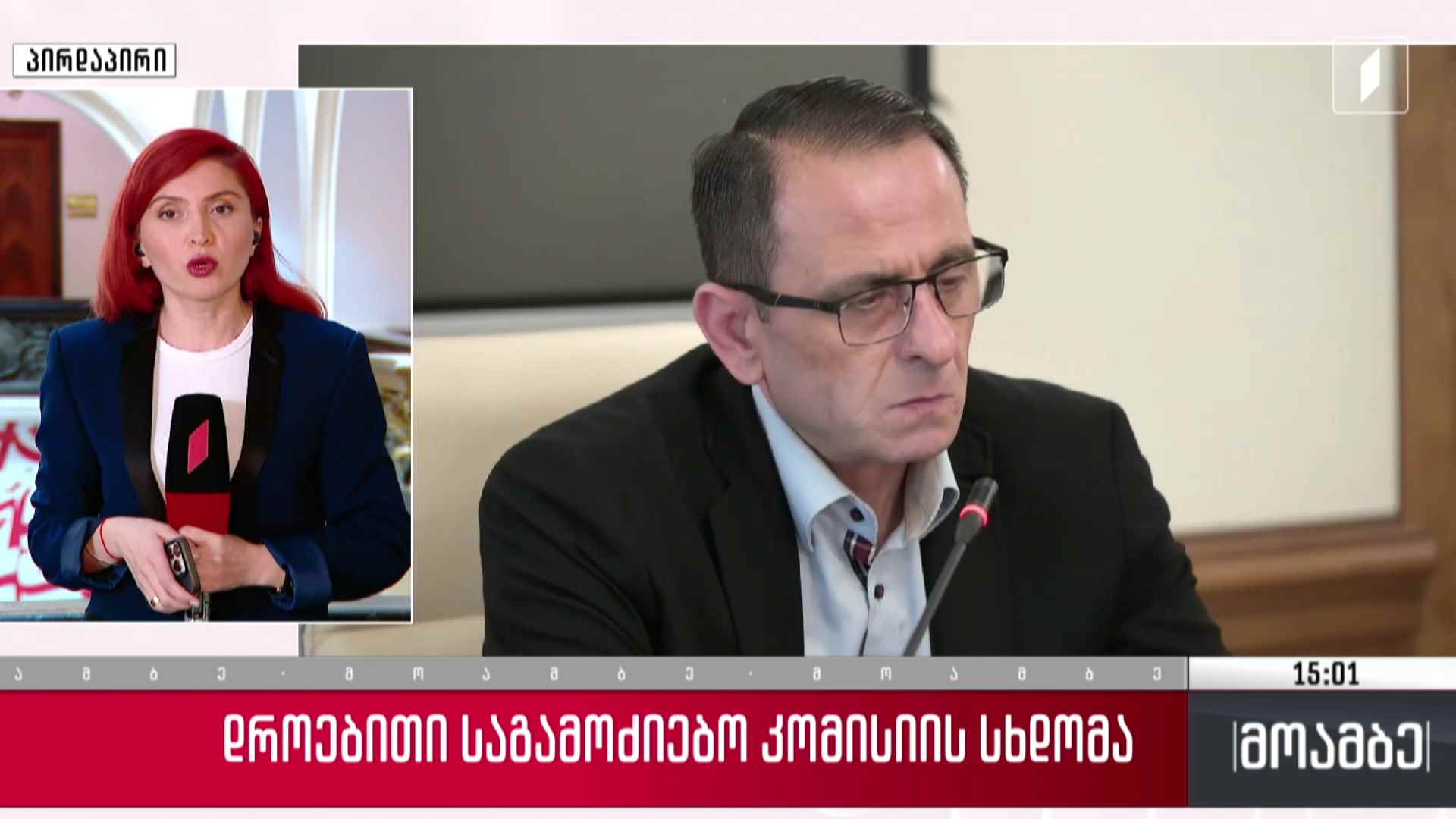 დროებითი საგამოძიებო კომისიის სხდომა