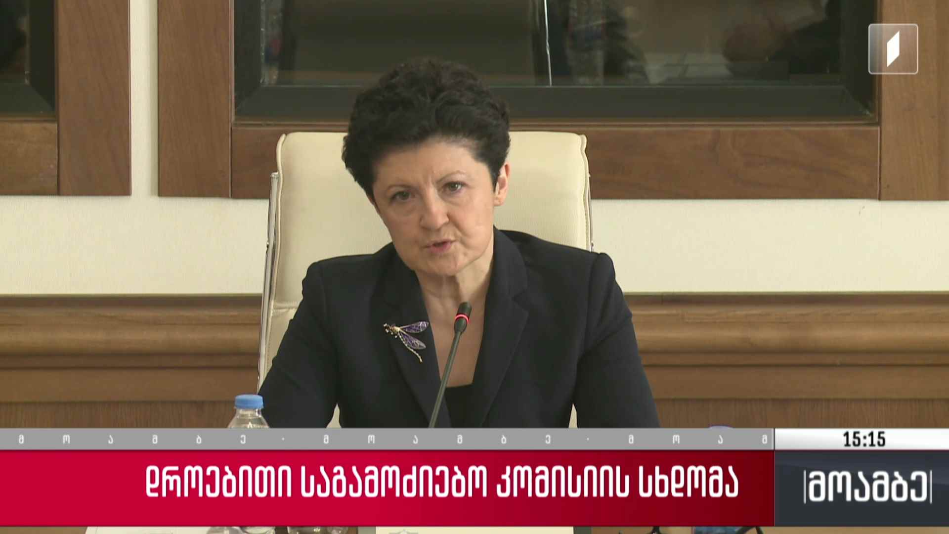 დროებითი საგამოძიებო კომისიის სხდომა